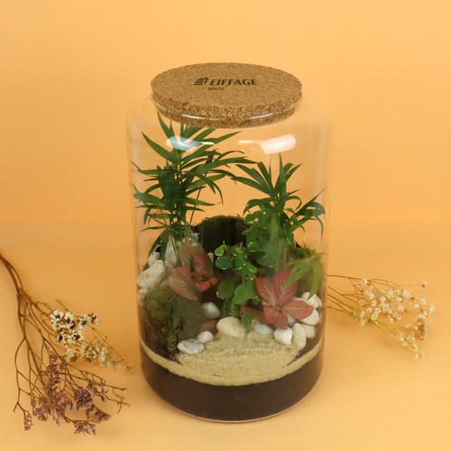 Terrarium - Modèle confort - L