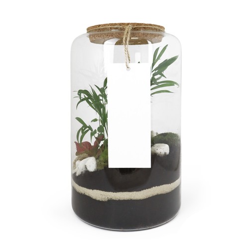 Terrarium - Modèle confort - L