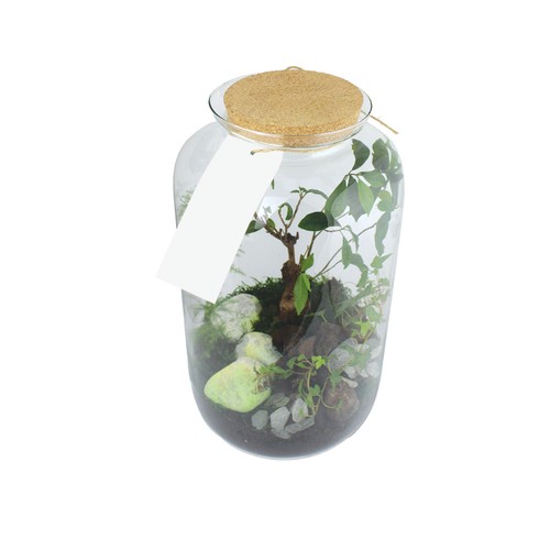 Terrarium - Modèle Luxe - 1