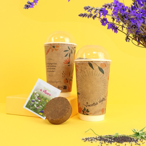 Smoothie graines standard
