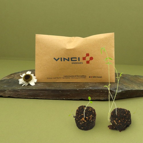 Palets à graines en sachet kraft