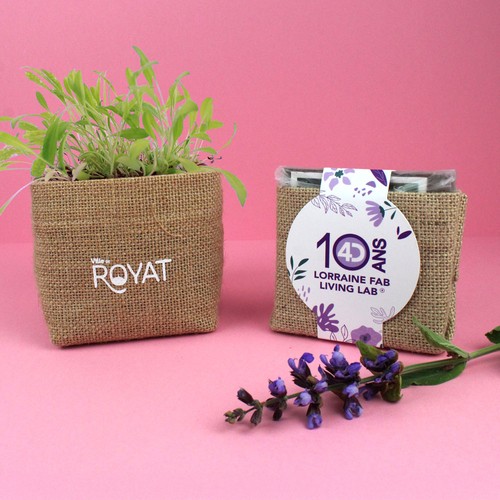 Kit pocket coco jute