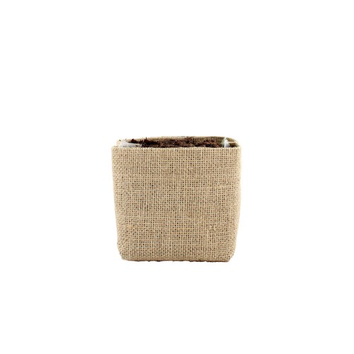 Kit pocket coco jute