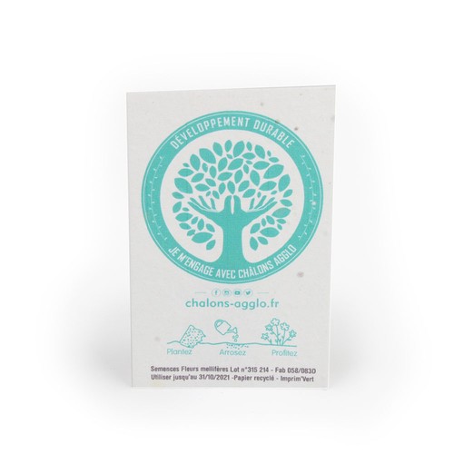 Carte de visite papier graines 200g recto