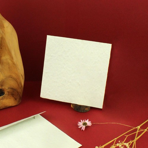 Enveloppe papier graines 150x150mm