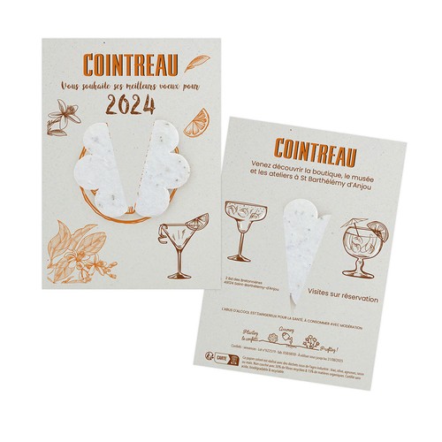 Papillon papier graines - 3