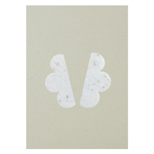 Papillon papier graines