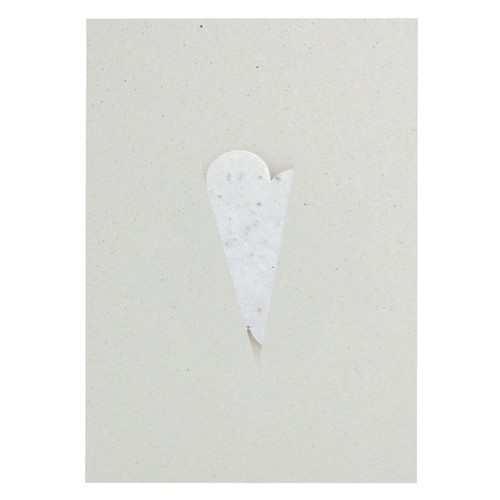Papillon papier graines