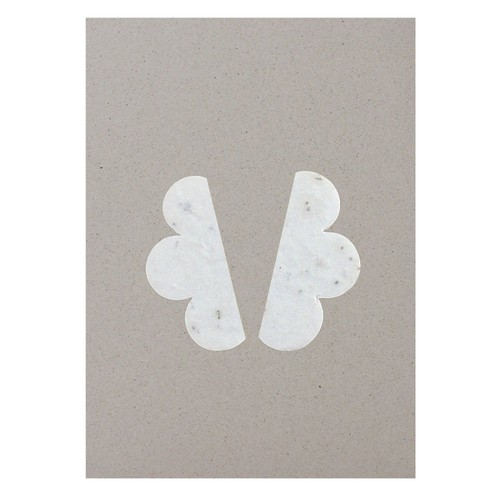 Papillon papier graines