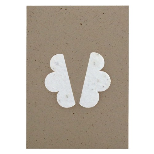 Papillon papier graines