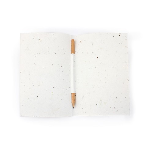 Carte voeux papier graines et crayon bois