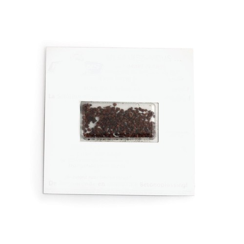 Carte visio-graines carrée 100x100 mm