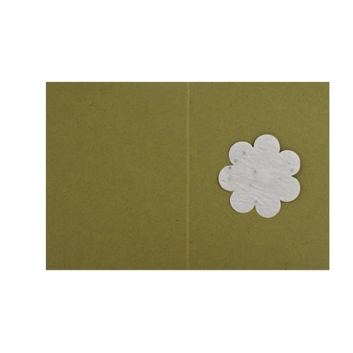 Carte papier végétal