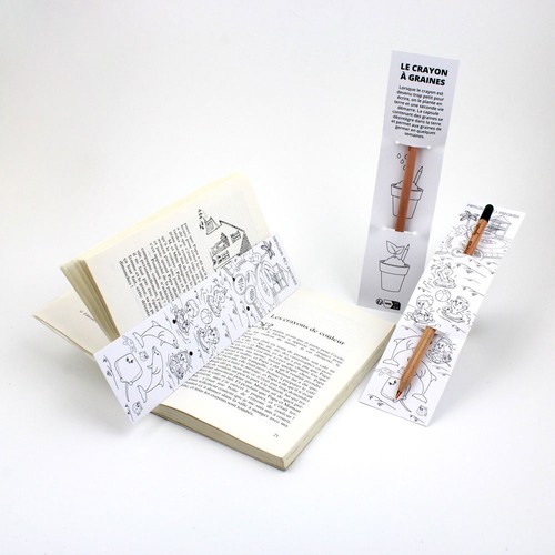 Crayon à graines mine multicolore - 2