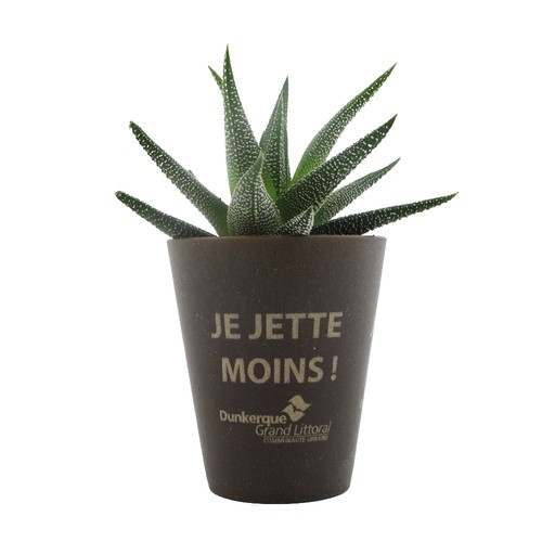 Plante Gob'lin - 1