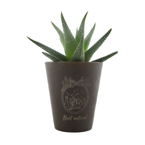Plante Gob'lin