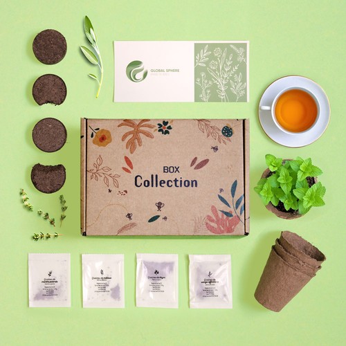 Box collection tisane