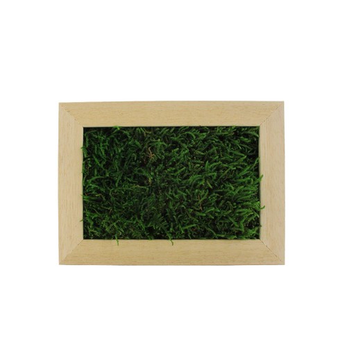 Trophée mousse rectangulaire - 1