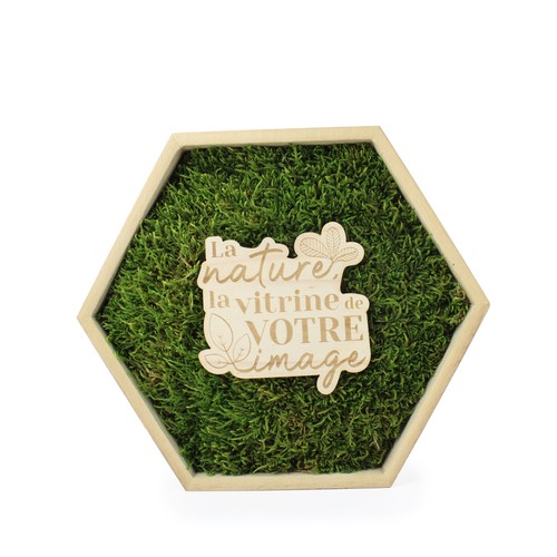 Trophée mousse hexagonal - 2