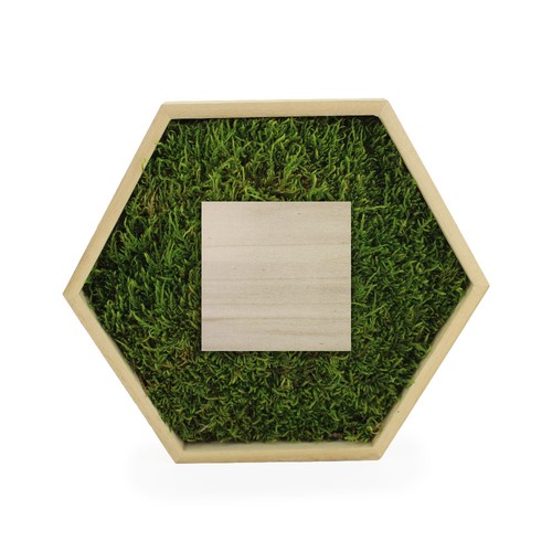 Trophée mousse hexagonal