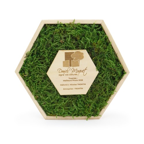 Trophée mousse hexagonal