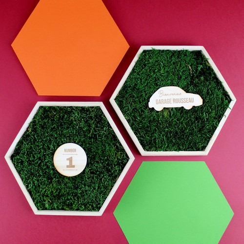 Trophée mousse hexagonal