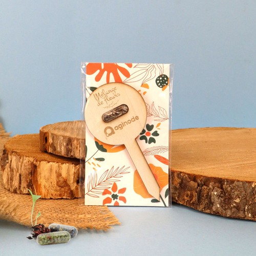 Pic bois gélule - 3