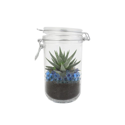 Plante grand bocal