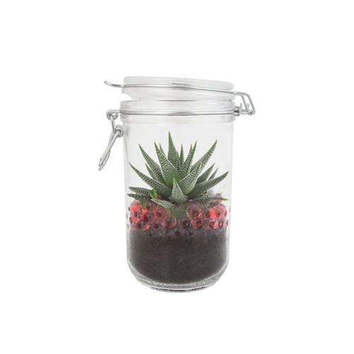 Plante grand bocal
