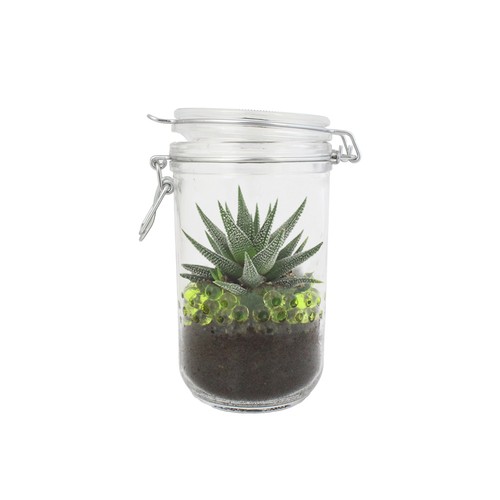 Plante grand bocal
