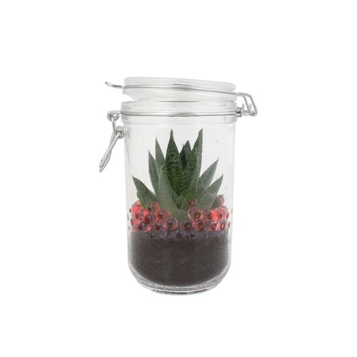Plante grand bocal