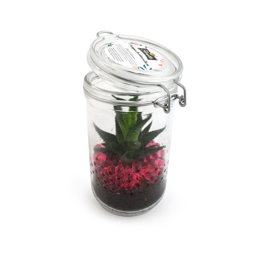 Plante grand bocal