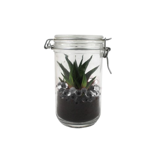 Plante grand bocal