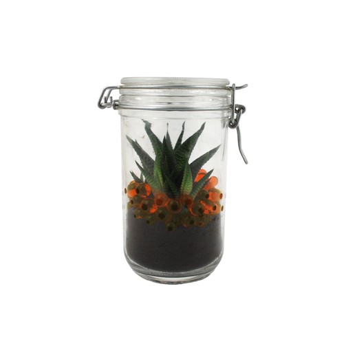 Plante grand bocal