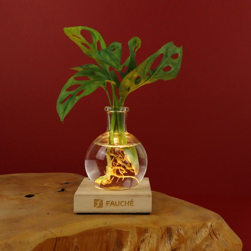 Plante vase socle lumineux - 1
