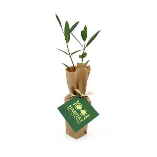 Mini plant d'arbre pot fibre de bois