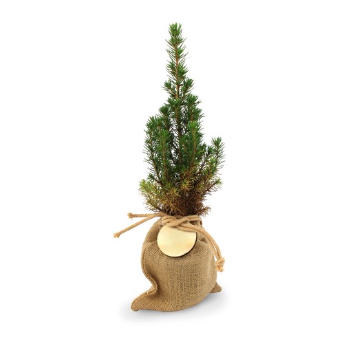 Sapin pochon jute Ø10 cm - 1