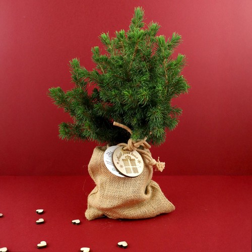 Sapin pochon jute Ø10 cm