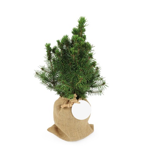 Sapin pochon jute Ø10 cm