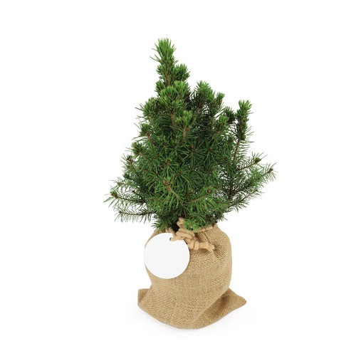Sapin pochon jute Ø10 cm