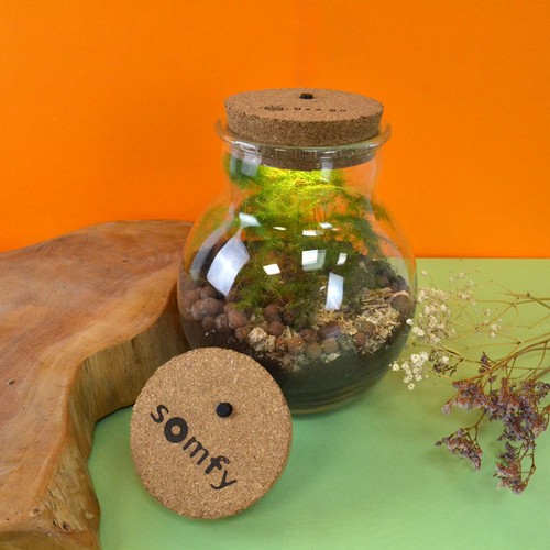Terrarium lumineux - 1