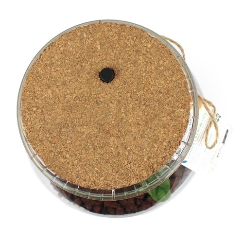 Terrarium lumineux
