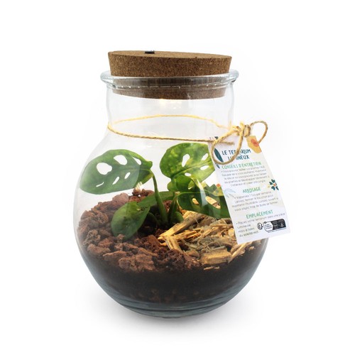 Terrarium lumineux