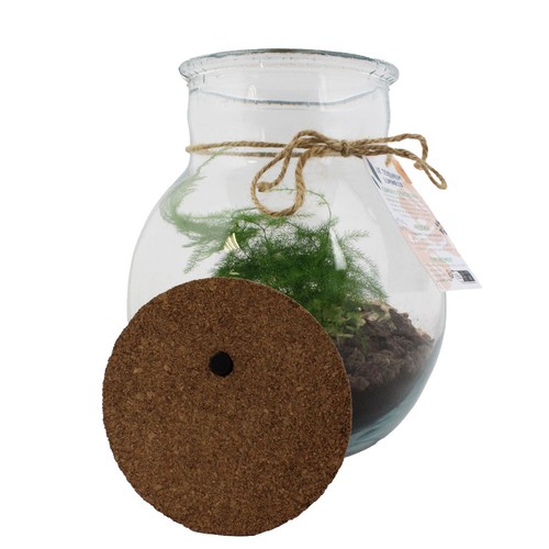 Terrarium lumineux