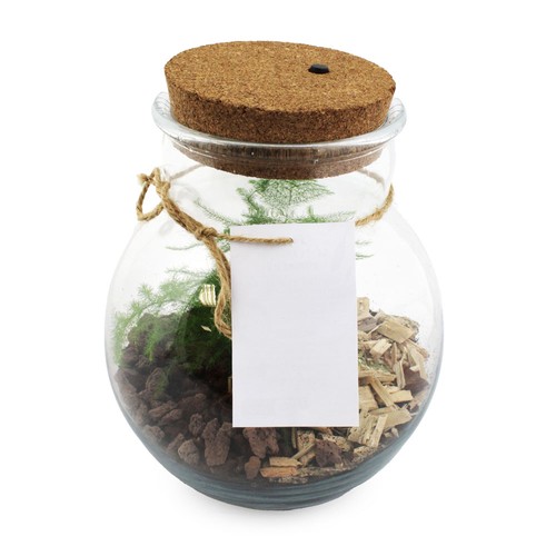 Terrarium lumineux