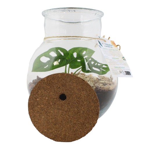 Terrarium lumineux
