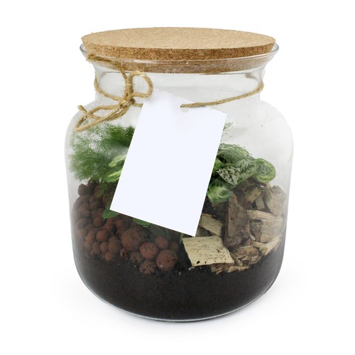 Terrarium Relaxant