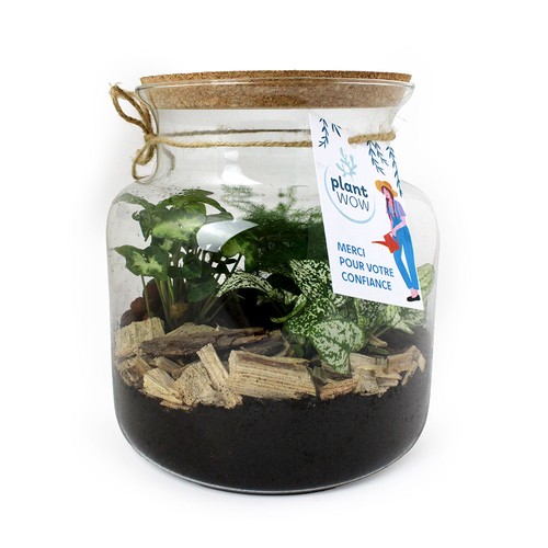 Terrarium Relaxant