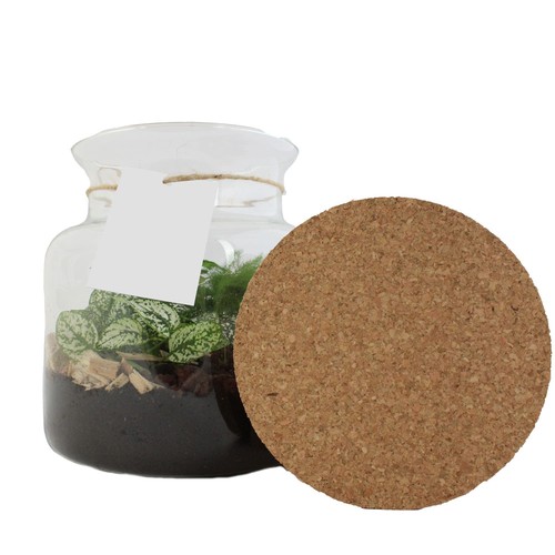 Terrarium Relaxant