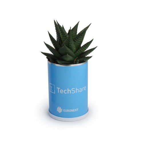 Canette plante alu - 2